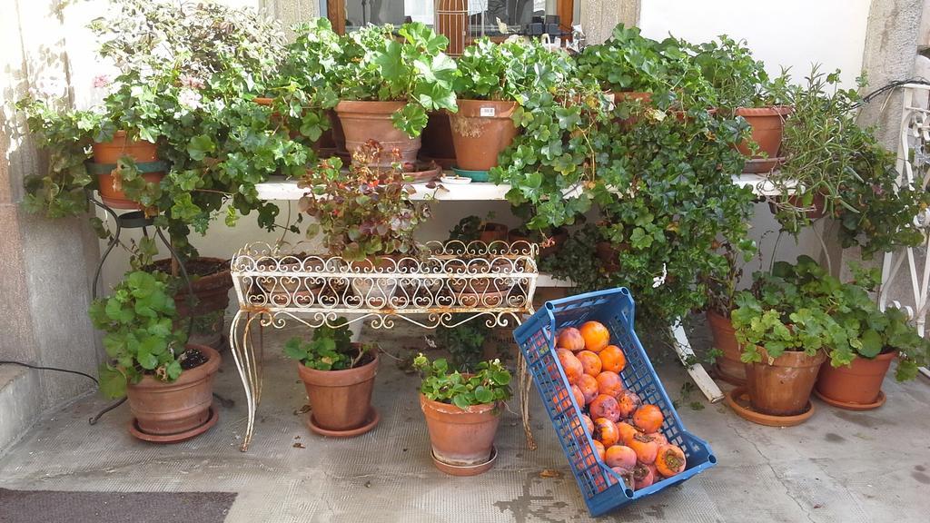 Villa Maria Bed & Breakfast, Corridonia, Marche Dış mekan fotoğraf