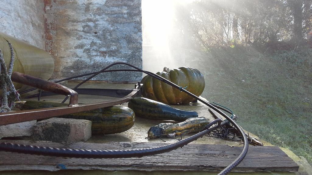 Villa Maria Bed & Breakfast, Corridonia, Marche Dış mekan fotoğraf
